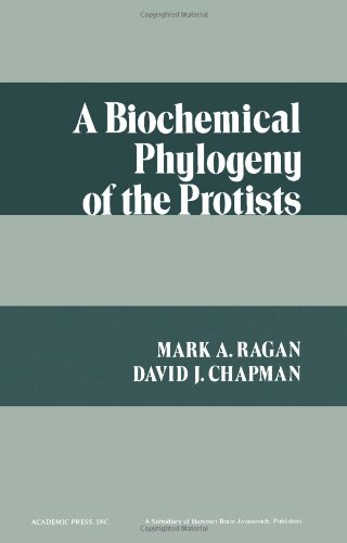 Imagen de archivo de A Biochemical Phylogeny of the Protists a la venta por BookDepart