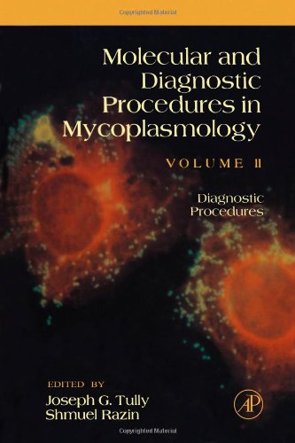 Stock image for Molecular and Diagnostic Procedures in Mycoplasmology: Diagnostic Procedures for sale by dsmbooks