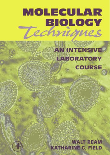 9780125839907: Molecular Biology Techniques: An Intensive Laboratory Course
