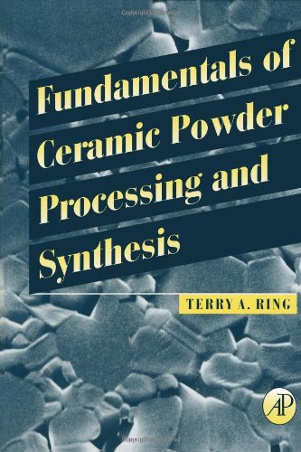9780125889308: Fundamentals of Ceramic Powder Processing and Synthesis