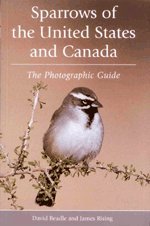 Stock image for Sparrows of the United States and Canada: A Photographic Guide (A Volume in the AP Natural World Series) for sale by Byrd Books