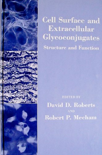 Imagen de archivo de Cell Surface and Extracellular Glycoconjugates: Structure and Function. a la venta por Plurabelle Books Ltd