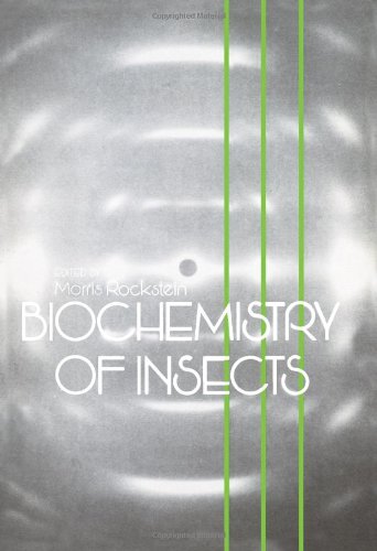 Stock image for Biochemistry of Insects for sale by Better World Books