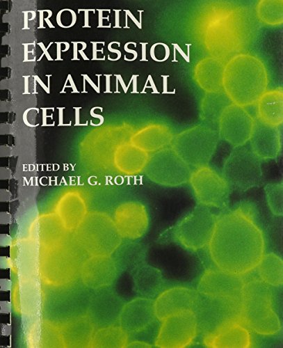 Stock image for Protein Expression in Animal Cells, Volume 43 (Methods in Cell Biology (Cloth)) for sale by Mispah books