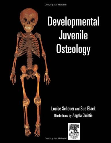 Stock image for Developmental Juvenile Osteology for sale by Better World Books