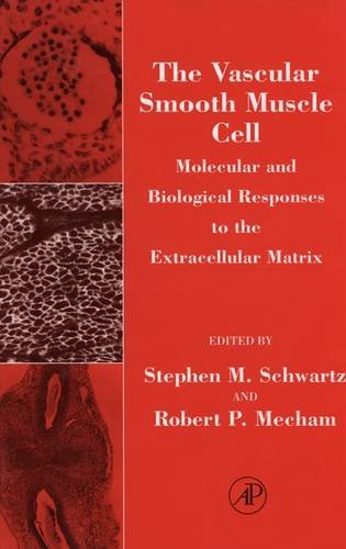 Beispielbild fr The Vascular Smooth Muscle Cell: Molecular and Biological Responses to the Extracellular Matrix (Biology of Extracellular Matrix) zum Verkauf von dsmbooks
