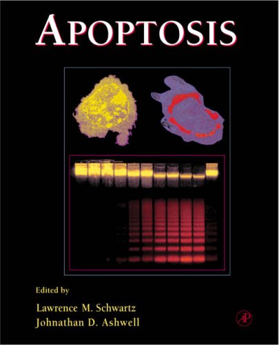 Stock image for Apoptosis (Volume 66): Cell Death (Methods in Cell Biology, Volume 66) for sale by WorldofBooks