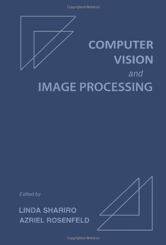 Stock image for Computer Vision and Image Processing for sale by Ammareal