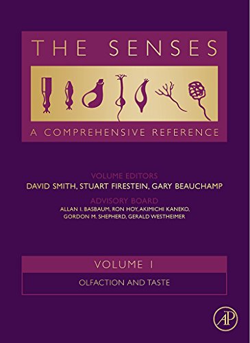 Beispielbild fr The Senses: A Comprehensive Reference zum Verkauf von PBShop.store UK