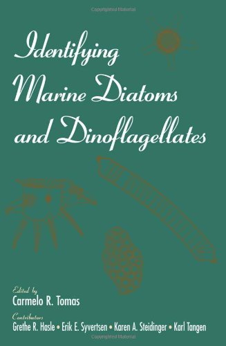 Stock image for Identifying Marine Diatoms and Dinoflagellates for sale by Salish Sea Books