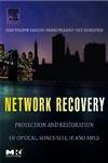 Stock image for Network Recovery : Protection and Restoration of Optical, SONET-SDH, IP, and MPLS for sale by Better World Books