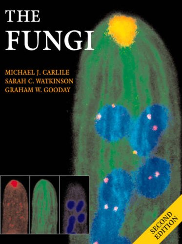 Stock image for The Fungi for sale by Better World Books