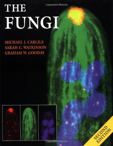 9780127384467: The Fungi