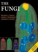 Stock image for The Fungi for sale by BGV Books LLC