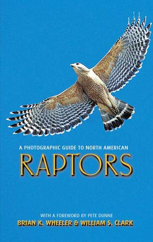 Stock image for A Photographic Guide to North American Raptors for sale by HPB Inc.