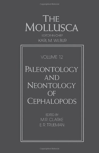 Beispielbild fr Mollusca Volume 12: Paleontology and Neontology of Cephalopods zum Verkauf von Bernhard Kiewel Rare Books