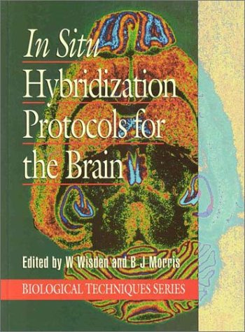 Beispielbild fr In Situ Hybridization for the Brain (Series: Biological Techniques) zum Verkauf von Hawking Books