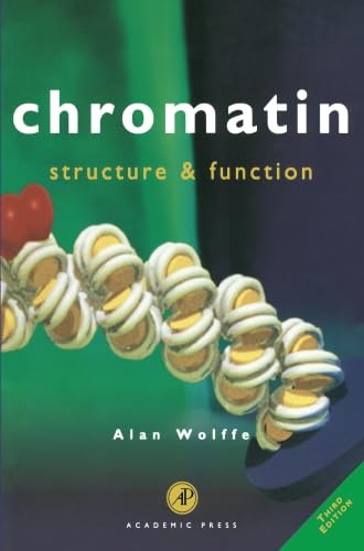 Stock image for Chromatin: Structure and Function for sale by BGV Books LLC