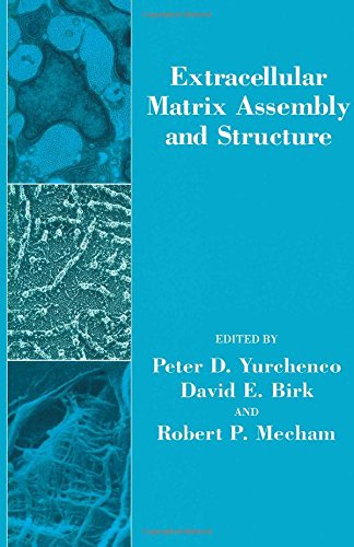 Imagen de archivo de Extracellular Matrix Assembly and Structure a la venta por Ammareal