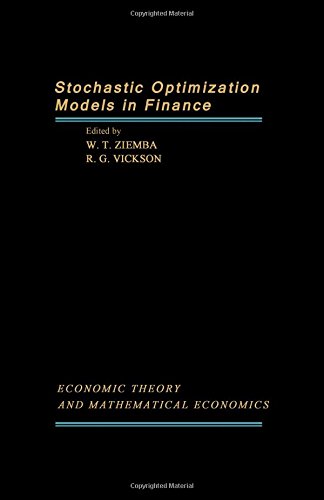 Stochastic Optimisation Models in Finance