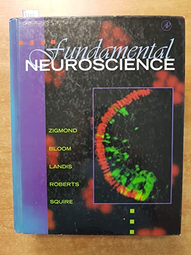 Stock image for Fundamental Neuroscience for sale by ThriftBooks-Dallas