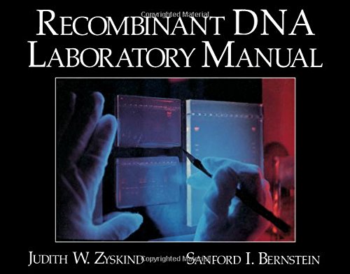 Beispielbild fr Recombinant DNA Laboratory Manual zum Verkauf von HPB-Red