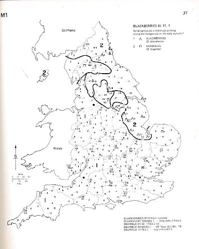 9780127856087: Word Geography of England