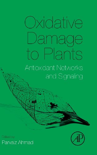 9780127999630: Oxidative Damage to Plants: Antioxidant Networks and Signaling