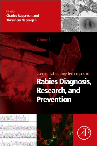 Stock image for Current Laboratory Techniques in Rabies Diagnosis, Research and Prevention (Volume 1) for sale by Anybook.com