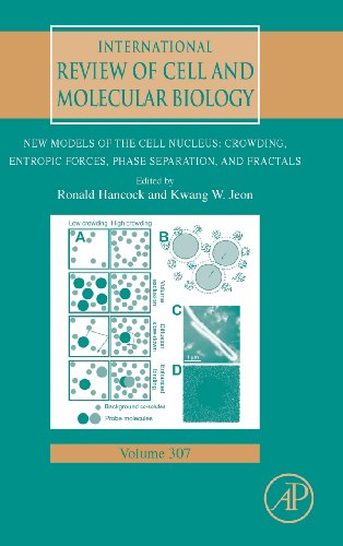 Stock image for New Models of the Cell Nucleus: Crowding, Entropic Forces, Phase Separation, and Fractals: 307 (International Review of Cell and Molecular Biology) for sale by Chiron Media
