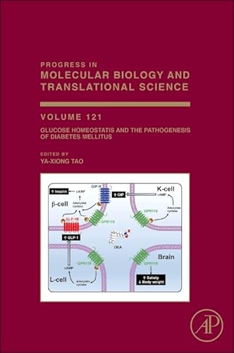 Stock image for Glucose Homeostatis and the Pathogenesis of Diabetes Mellitus (Volume 121) (Progress in Molecular Biology and Translational Science, Volume 121) for sale by Phatpocket Limited