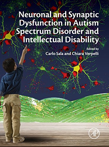 Beispielbild fr Neuronal and Synaptic Dysfunction in Autism Spectrum Disorder and Intellectual Disability zum Verkauf von Chiron Media