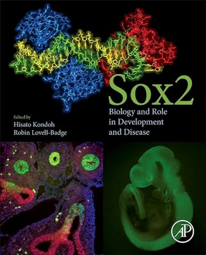 9780128003527: Sox2: Biology and Role in Development and Disease