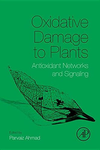 9780128004609: Oxidative Damage to Plants: Antioxidant Networks and Signaling