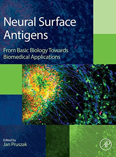 9780128007815: Neural Surface Antigens: From Basic Biology Towards Biomedical Applications