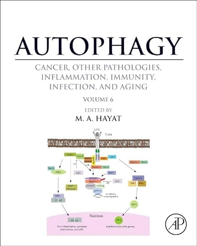 9780128010327: Autophagy: Cancer, Other Pathologies, Inflammation, Immunity, Infection, and Aging: Regulation of Autophagy and Selective Autophagy Volume 6: Volume 6- Regulation of Autophagy and Selective Autophagy