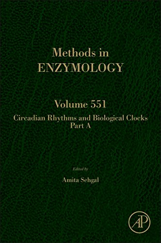 Stock image for Circadian Rhythms and Biological Clocks (Methods in Enzymology): (Volume 551) for sale by Anybook.com