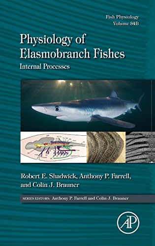 Stock image for Physiology of Elasmobranch Fishes: Internal Processes: Volume 34B: Fish Physiology for sale by Chiron Media
