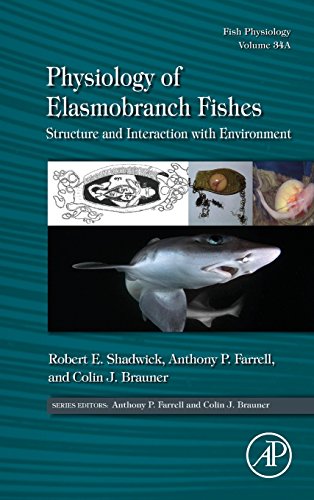 Beispielbild fr Physiology of Elasmobranch Fishes: Structure and Interaction with Environment: Volume 34A: Fish Physiology zum Verkauf von Chiron Media