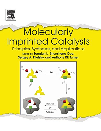 Imagen de archivo de Molecularly Imprinted Catalysts a la venta por AHA-BUCH GmbH