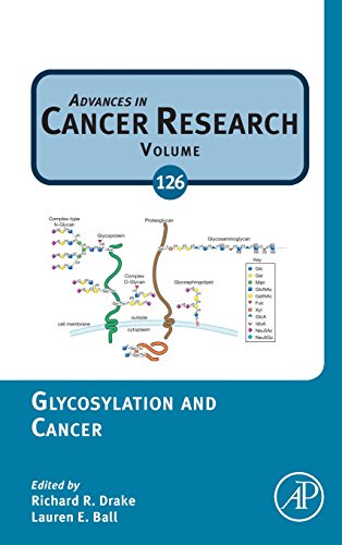 Imagen de archivo de Glycosylation and Cancer: 126 (Advances in Cancer Research) a la venta por Chiron Media