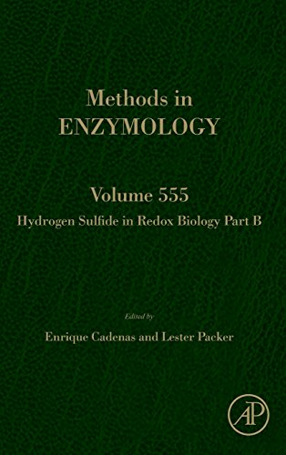 Stock image for Hydrogen Sulfide in Redox Biology: Part B: 555 (Methods in Enzymology): ` (Volume 555) for sale by Anybook.com