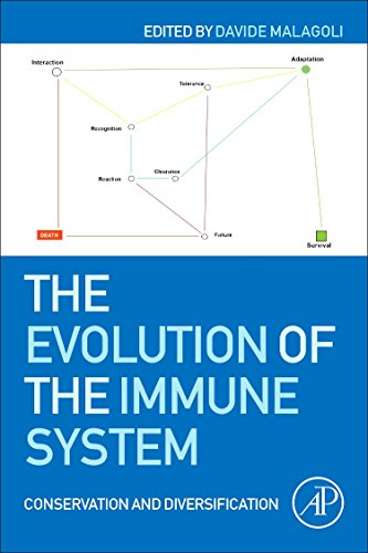 Imagen de archivo de The Evolution of the Immune System: Conservation and Diversification a la venta por medimops
