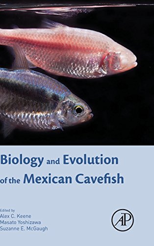 9780128021484: Biology and Evolution of the Mexican Cavefish