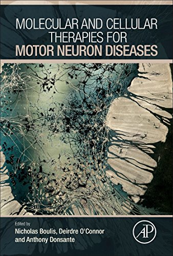 Beispielbild fr Molecular and Cellular Therapies for Motor Neuron Diseases zum Verkauf von Better World Books
