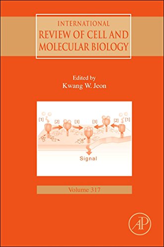 9780128022801: International Review of Cell and Molecular Biology: Volume 317
