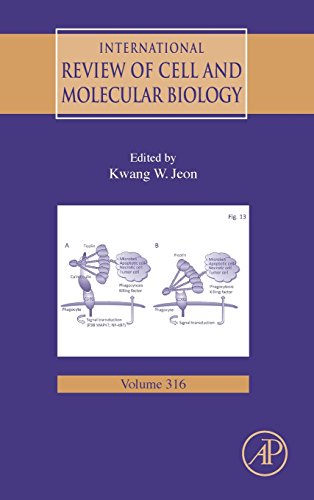 Stock image for International Review of Cell and Molecular Biology: 316: Volume 316 for sale by Chiron Media