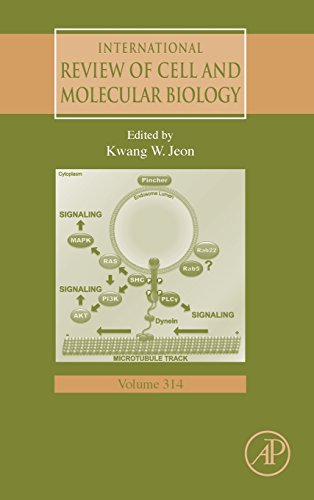 9780128022832: International Review of Cell and Molecular Biology: 314: Volume 314