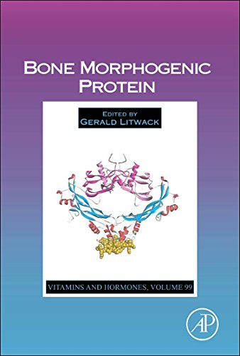 Stock image for Vitamins and Hormones: Bone Morphogenic Protein (Volume 99) for sale by Anybook.com