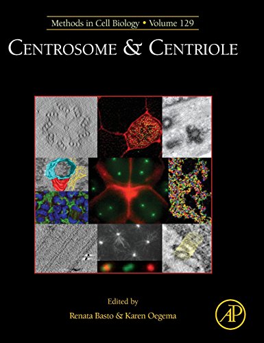 9780128024492: Centrosome & Centriole (Methods in Cell Biology): Volume 129